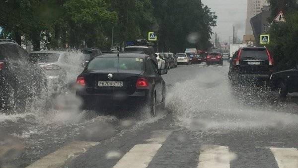 Синоптики предупредили о дождях и грозах в Ленобласти 26 и 27 мая