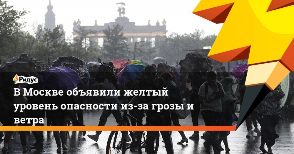 В Москве объявили желтый уровень опасности из-за грозы и ветра
