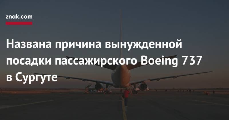 Названа причина вынужденной посадки пассажирского Boeing 737 в&nbsp;Сургуте