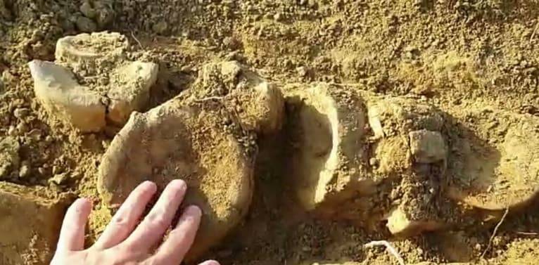 "Ихтиозавр": палеонтолог-любитель сделал удивительную находку в Мангистау (видео)
