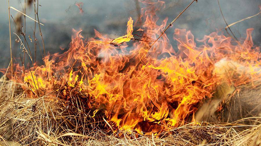 В Забайкалье прошли рейды по выявлению виновников лесных пожаров