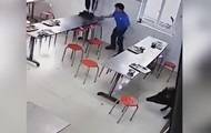 Громящего столовую дикого кабана сняли на видео