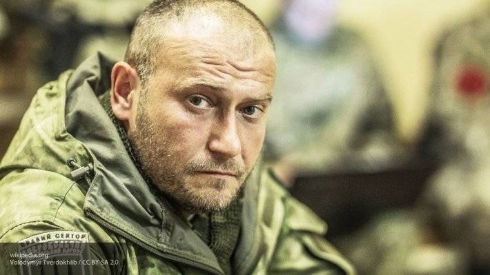 Ярош оценил шансы Киева на «быструю победоносную военную операцию» в ЛДНР