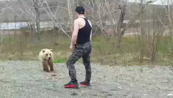 Медведь едва не растерзал докучавшего ему молодого человека на Камчатке