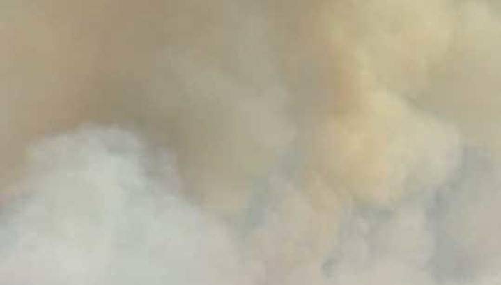 Из-за пастушьего костра в Забайкалье сгорело 600 га леса