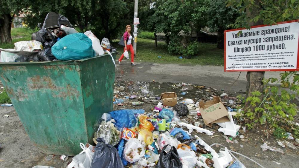 "Местные воруют миллиардами": Жириновский объяснил, почему в регионах до сих пор не отказываются от свалок