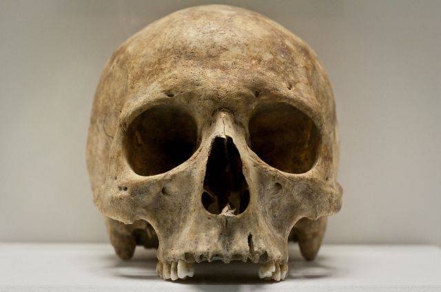 На востоке Москвы нашли человеческий череп