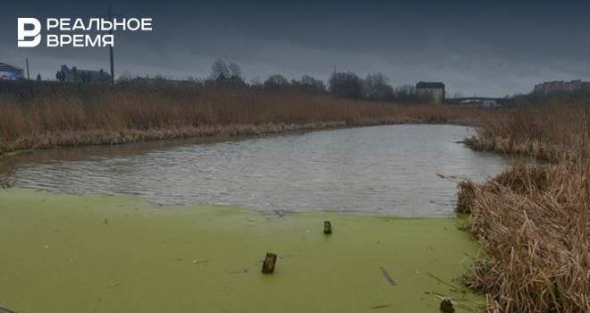 В Казани на очистку озер и прудов потратят более 2 млн рублей