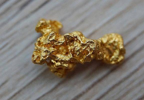 Ученые в Австралии обнаружили грибы, выделяющие золото