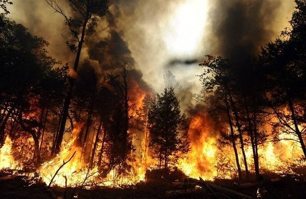 Лесные пожары влияют на урожай на сотни километров