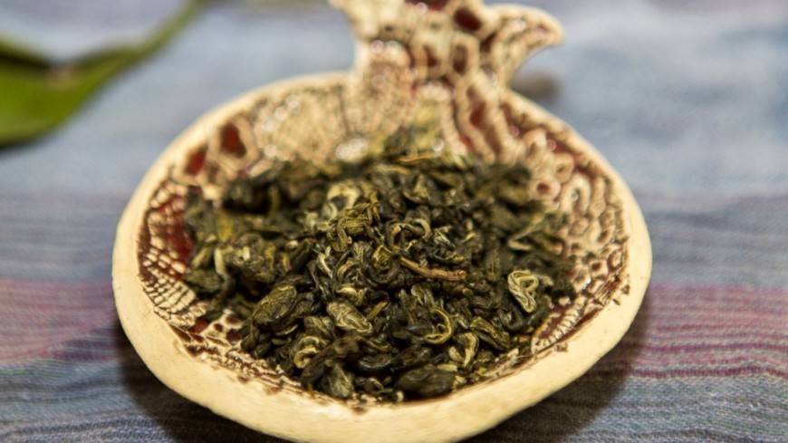 Вкусный, терпкий, листовой: в Краснодарском крае начался сезон сбора чая