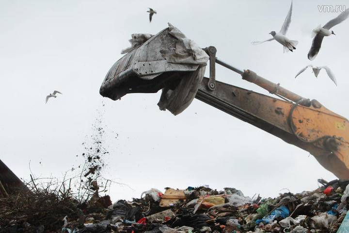 Госинспекиция по недвижимости очистила от мусора 15 участков на севере Москвы