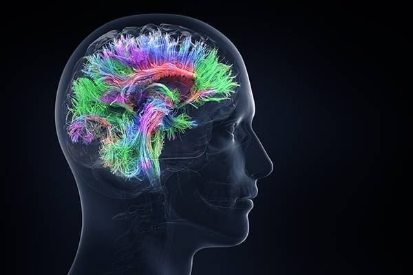 Методы для улучшения памяти и работы мозга, проверенные наукой