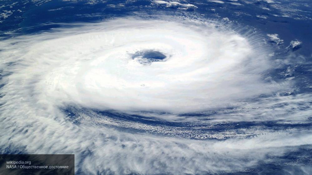 В Приморье почти пять тысяч человек остались без света из-за циклона