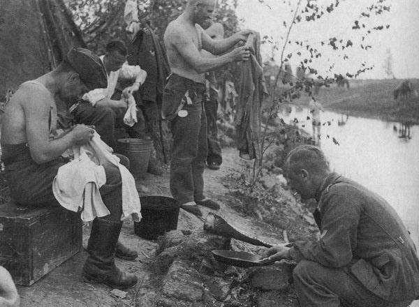«Окопные вши»: почему немцы не смогли победить педикулёз во время Великой Отечественной | Русская семерка