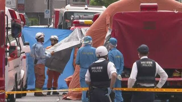 Мужчина устроил резню в парке в Японии: погибли три человека (фото)
