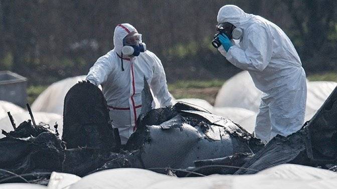 Германия опубликовала информацию о расследовании крушения самолета Филевой