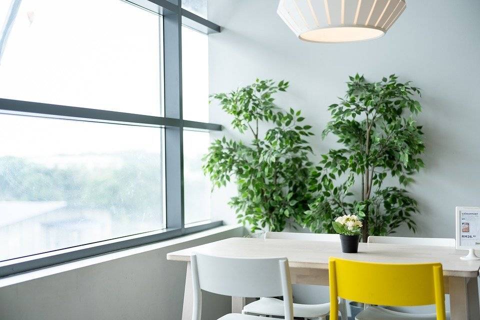 Россияне смогут арендовать мебель от IKEA