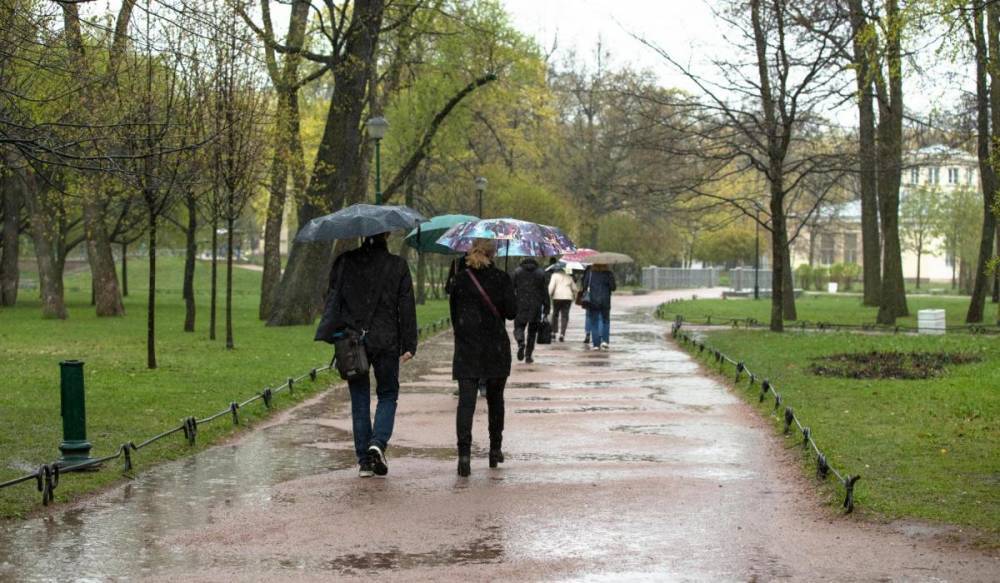 Во вторник в Петербурге будет пасмурно и дождливо