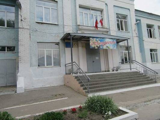 В школе в Саратовской области подросток ударил топором свою ровесницу