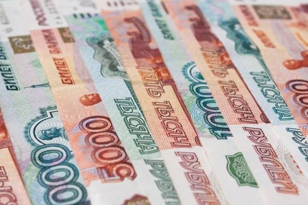 Завод в Амурской области получит 4,9 млрд рублей господдержки на развитие