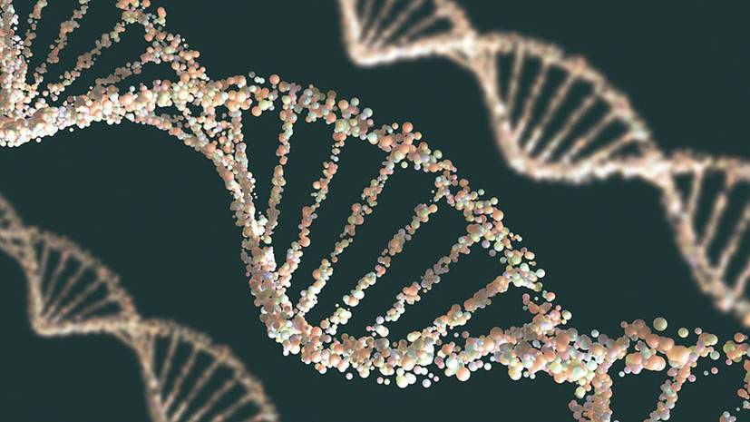 Генетическая уникальность: учёные обнаружили различие ряда белков ДНК человека и животных
