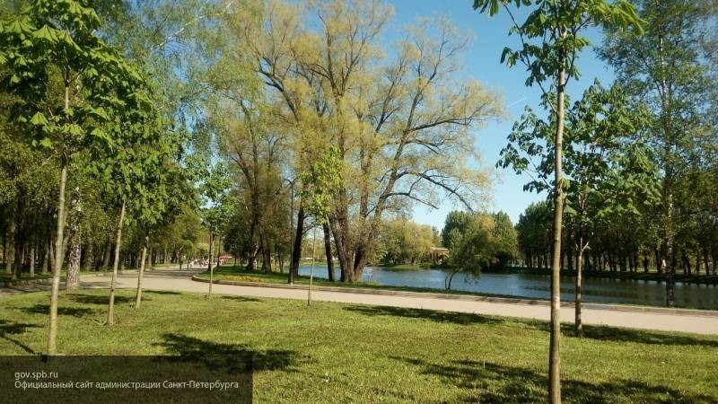 Почти 50 парков по всему Петербургу обещают привести в порядок