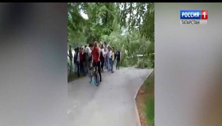 СК начал проверку по факту падения дерева на школьников в Альметьевске