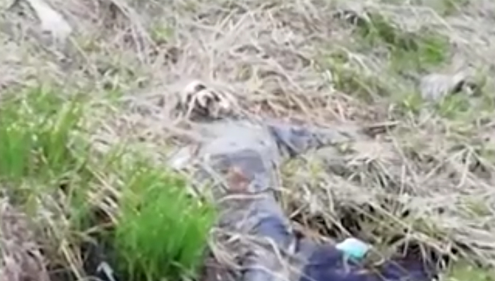 В Екатеринбурге в нескольких метрах от дороги нашли истлевшее тело
