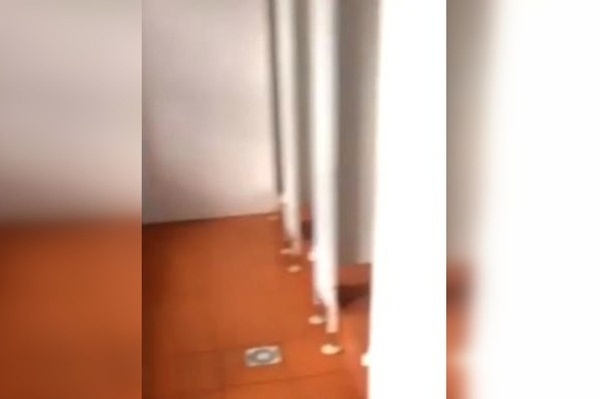 Власти Пензенской области назвали абсурдом снятые двери в школьном туалете во время ЕГЭ