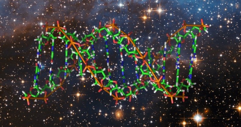 Астронавты впервые отредактировали геном в&nbsp;космосе