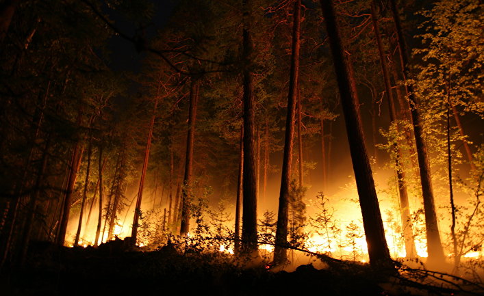The Unearthed (Великобритания): разрушительные природные пожары в России