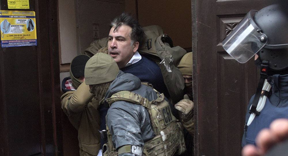 Гибкость спины: у украинской погранслужбы уже нет претензий к Саакашвили | Политнавигатор