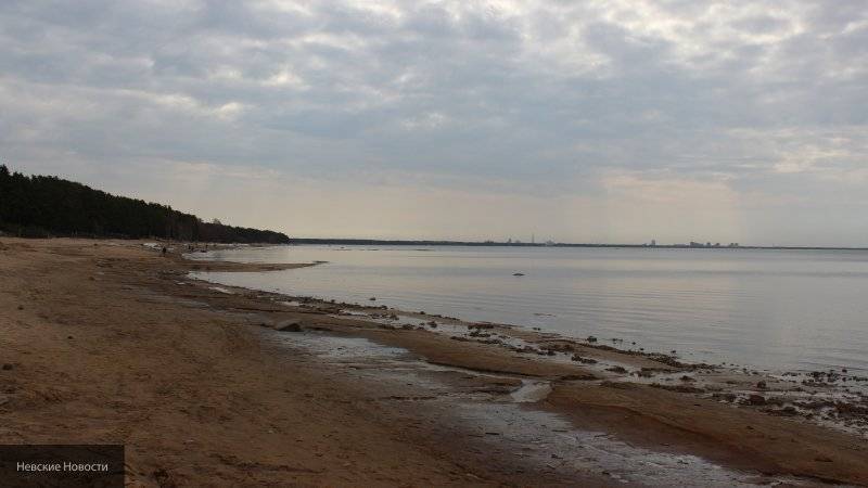 Эксперты рассказали, что в Петербурге лишь пять пляжей пригодны для отдыха