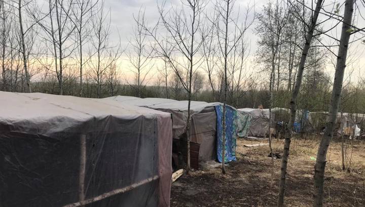Палаточный городок мигрантов обнаружен в Новосибирской области