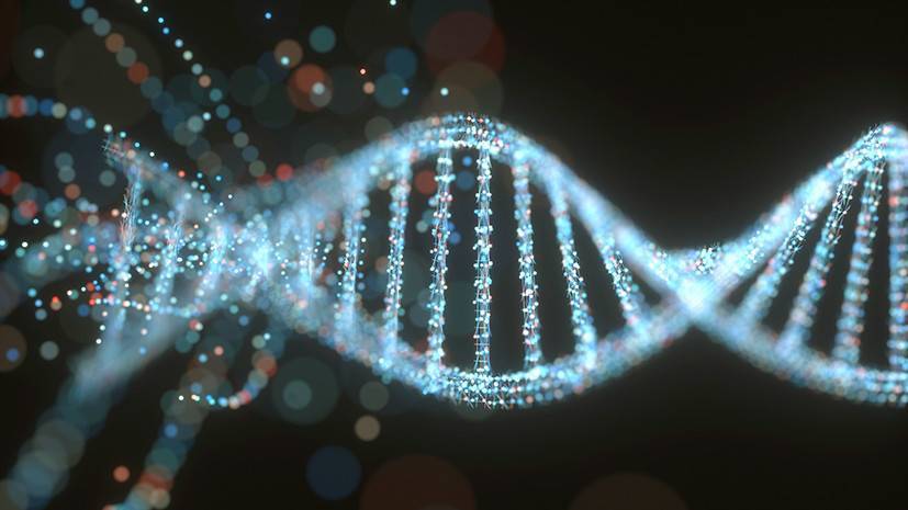 Защита от расщепления: найден способ восстанавливать наноструктуры на основе ДНК