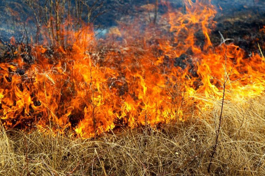 Жителей столичного региона предупредили о риске возникновения пожаров