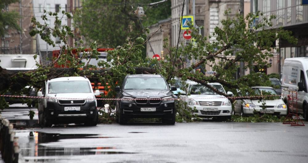 Автомобилистов призвали не оставлять машины рядом с деревьями из-за грозы