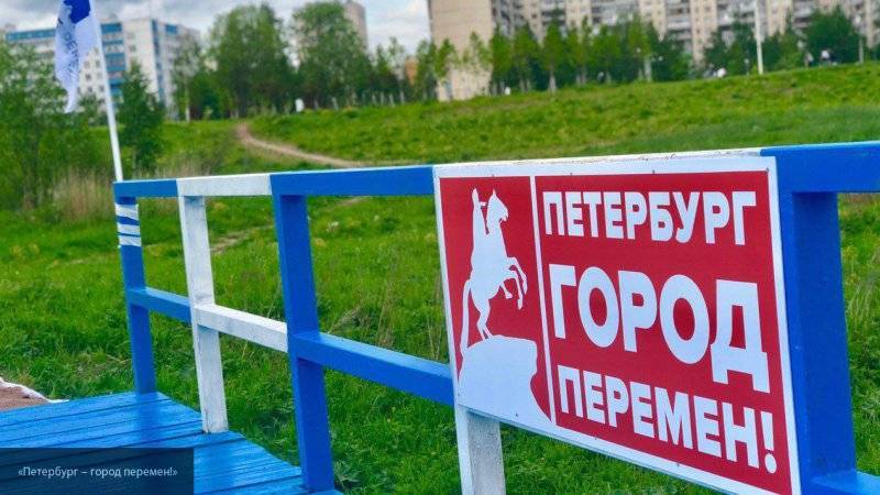 Активисты движения "Петербург – город перемен!" починили пешеходный мост в Муринском парке