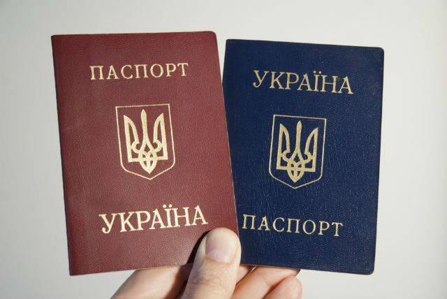 Бывший посол Грузии на Украине попросил у Зеленского гражданство