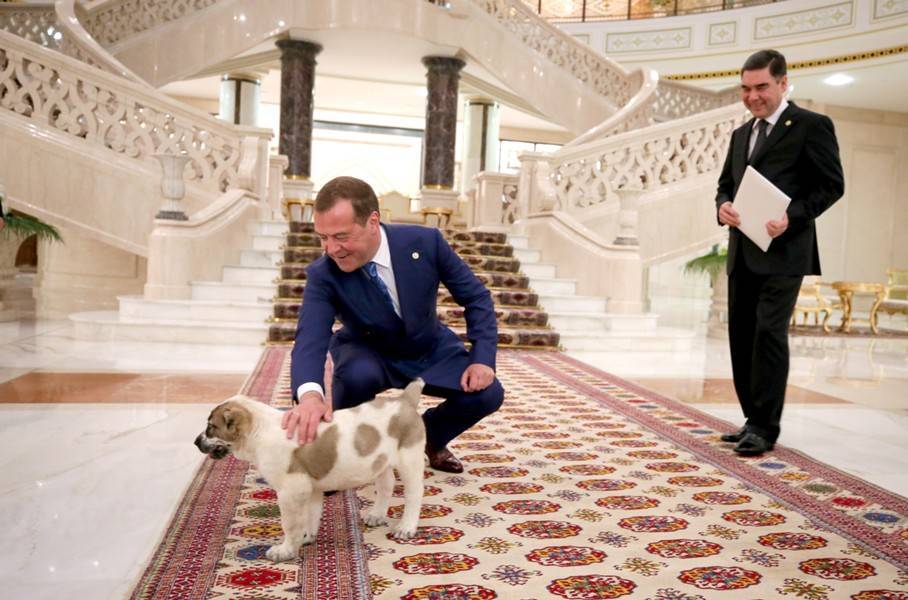 Президент Туркмении подарил Медведеву пятнистого алабая