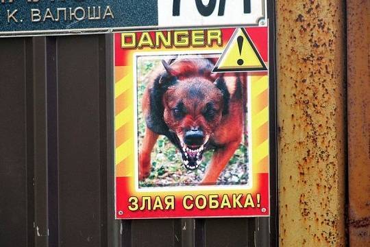 МВД обновило список опасных пород собак