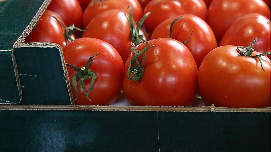 Россельхознадзор вернул в Турцию 51 т. зараженных молью томатов
