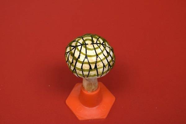 Ученые напечатали на 3D-принтере грибы, которые могут производить электричество