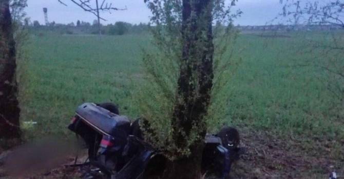 Смертельное ДТП в Бешенковичском районе: три пассажира погибли, пьяный водитель выжил