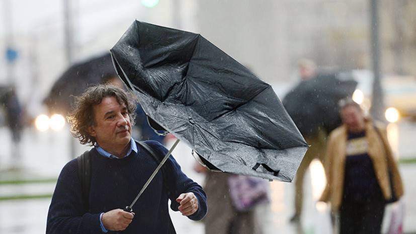 МЧС предупредило об усилении ветра в Москве