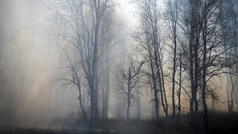 В Оренбургской области зарегистрировали 39 лесных пожаров с начала года