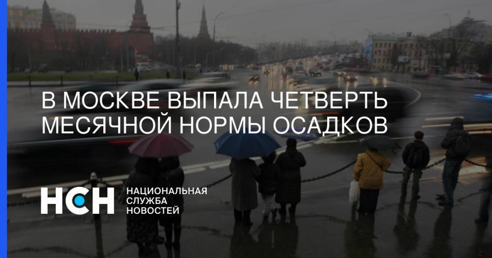 В Москве выпала четверть месячной нормы осадков