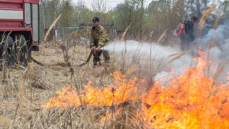 В Приамурье потушили все природные пожары