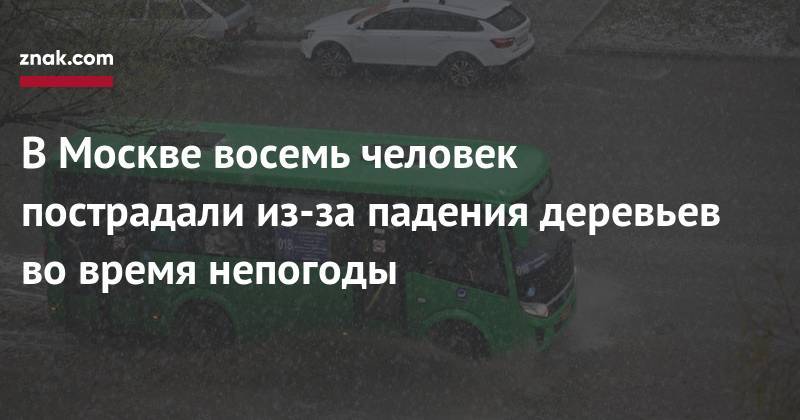 В&nbsp;Москве восемь человек пострадали из-за падения деревьев во&nbsp;время непогоды